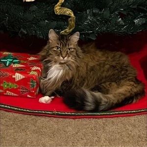 Meet your Posher, Debi